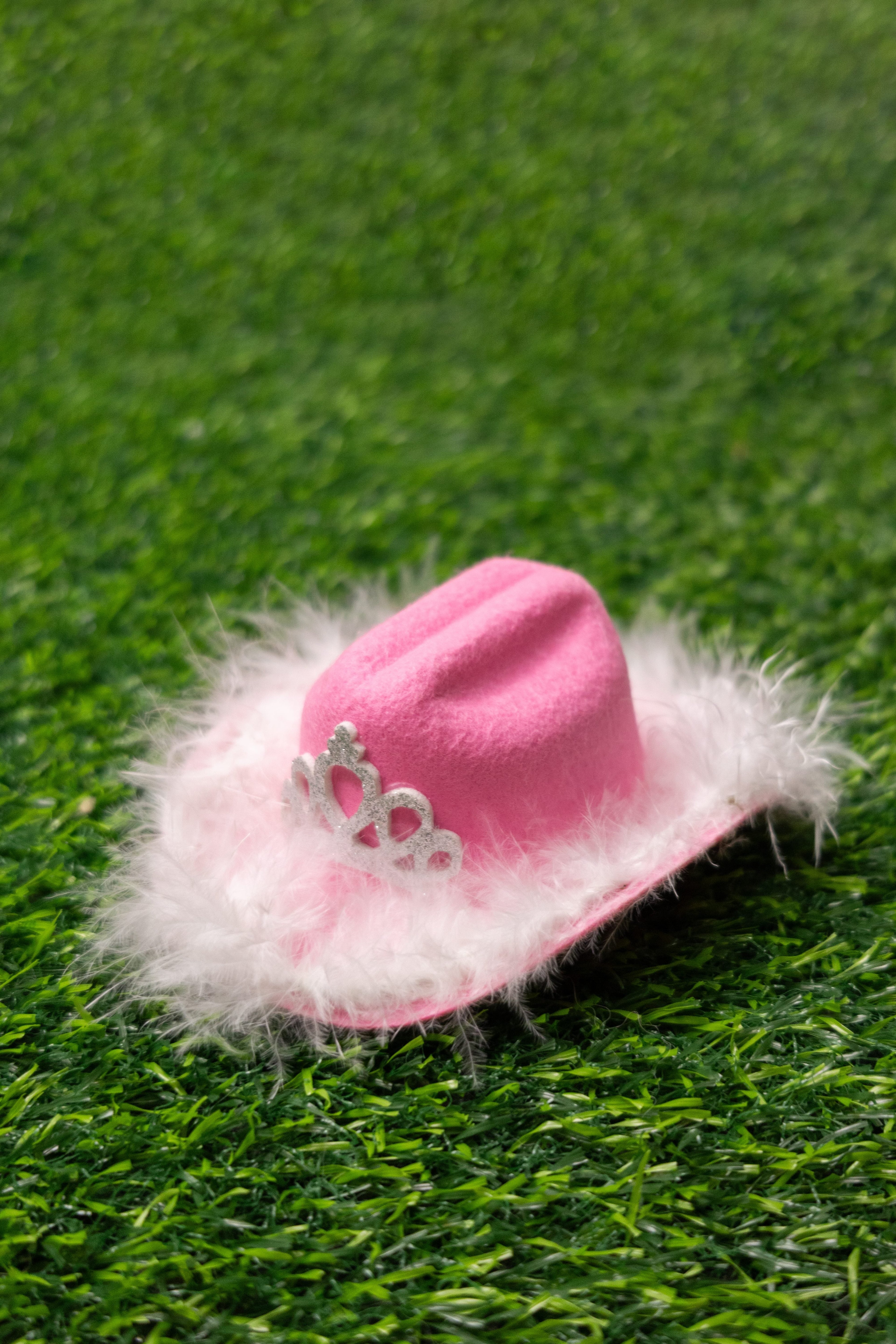 Accesorios para mascota