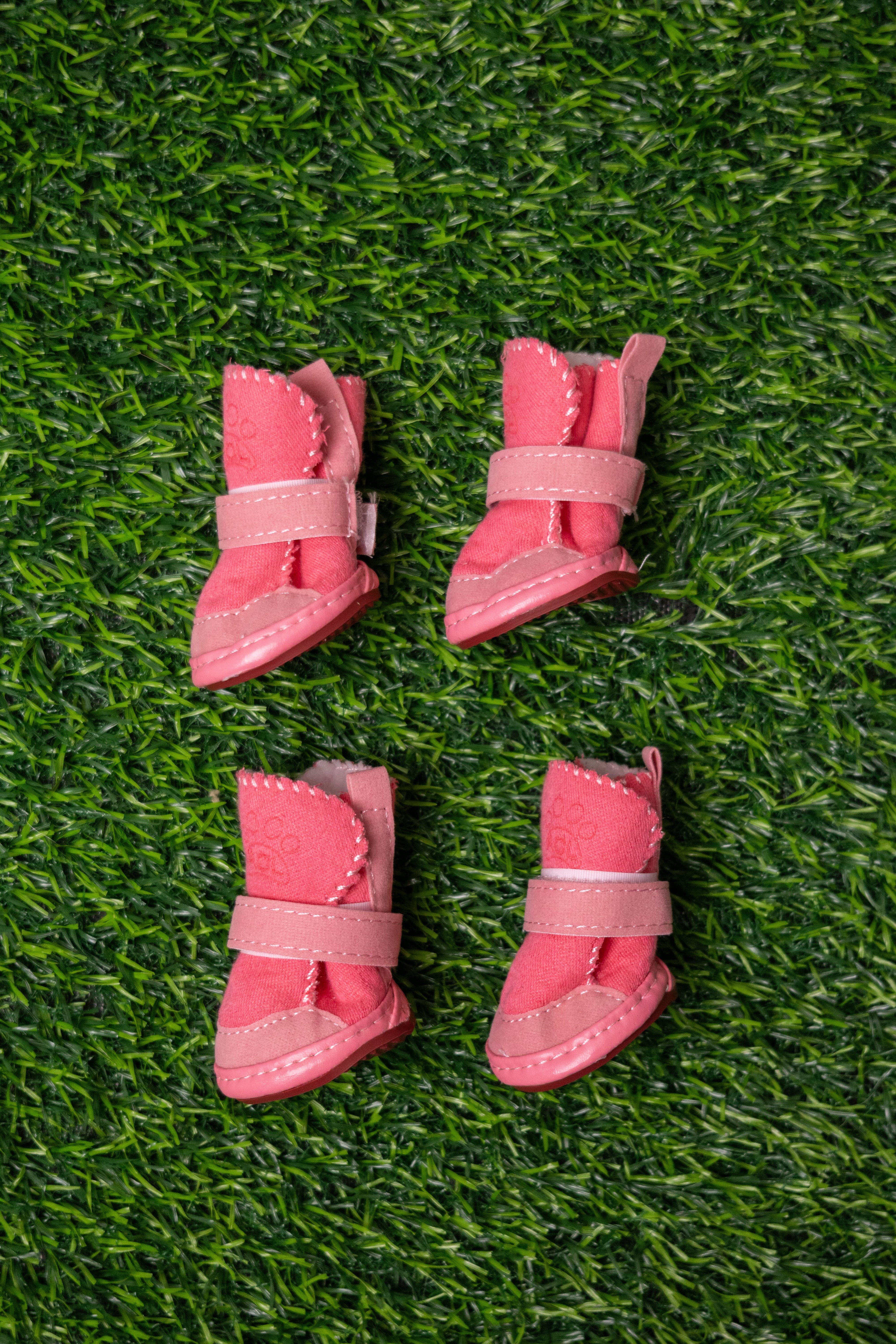 Zapatos Rosa