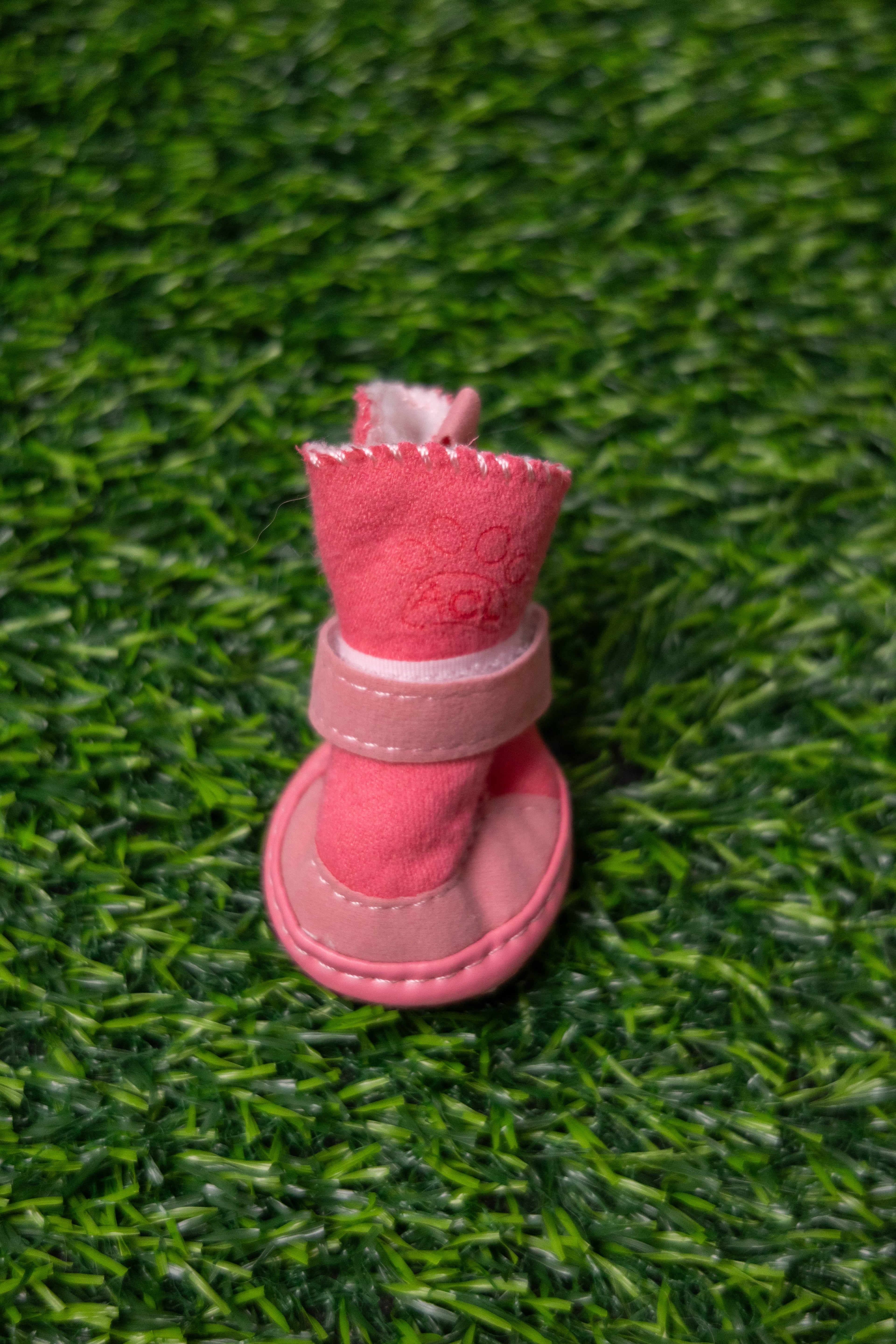 Zapatos Rosa