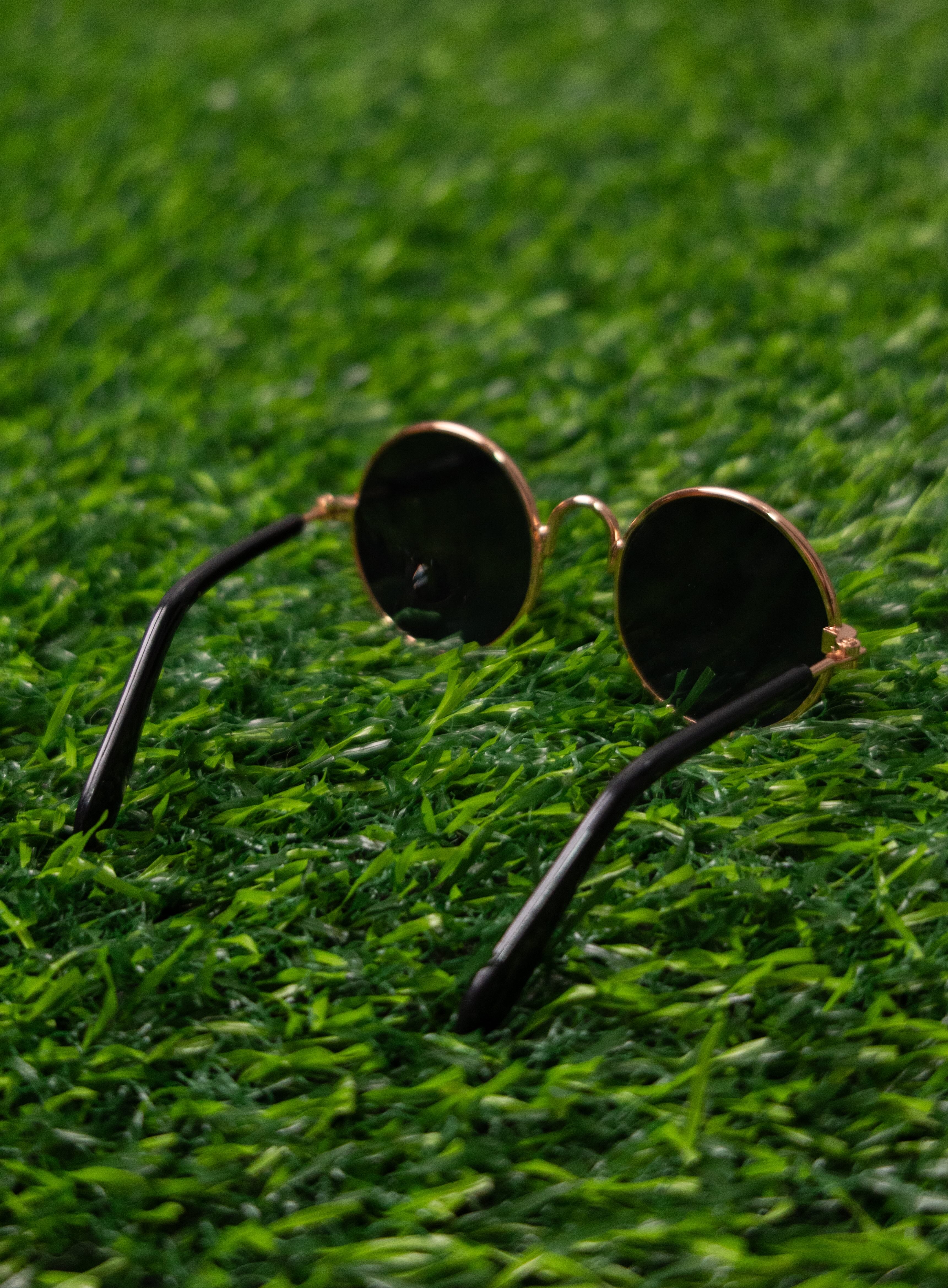 Lentes para Mascota