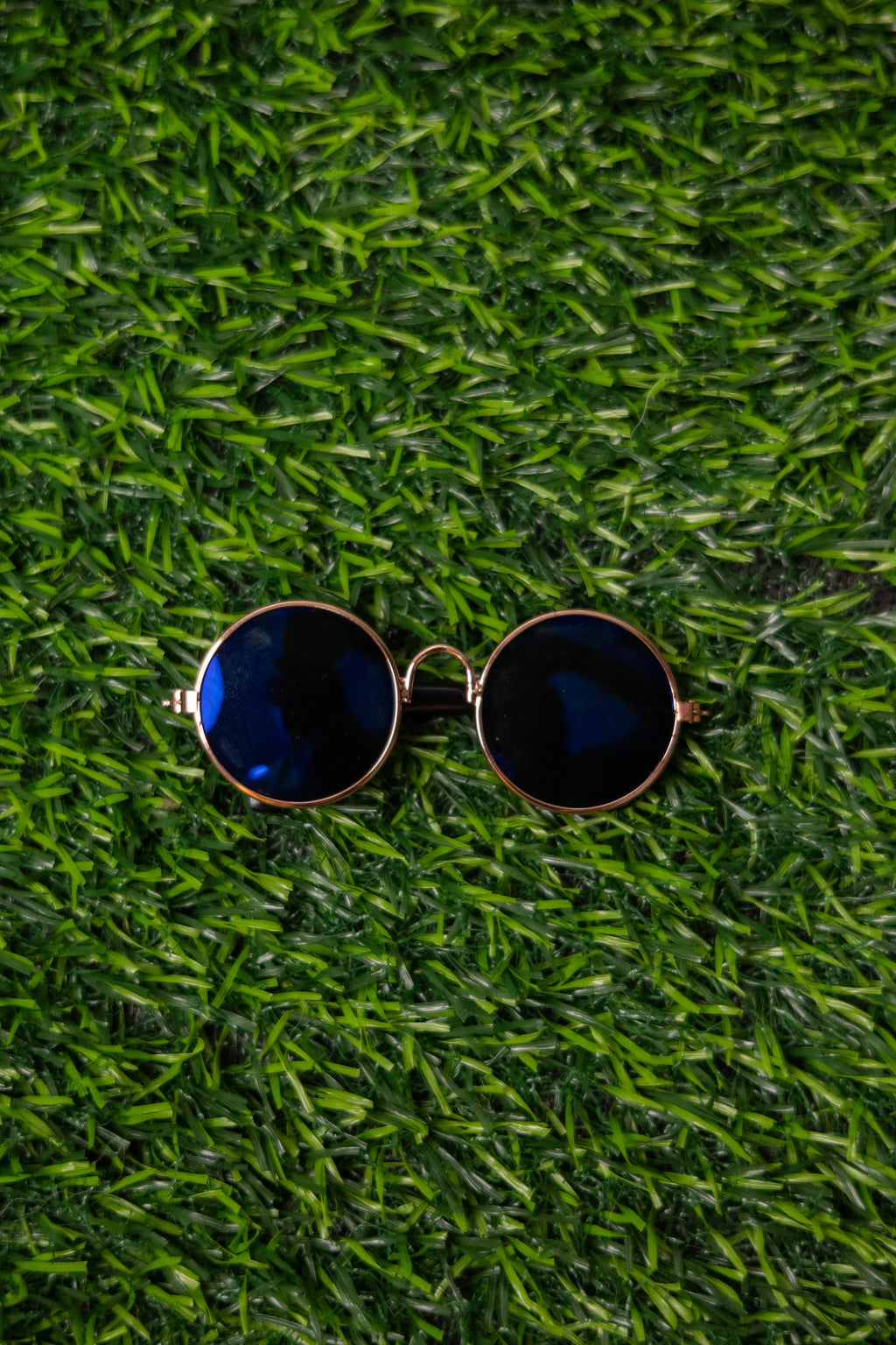 Lentes para Mascota