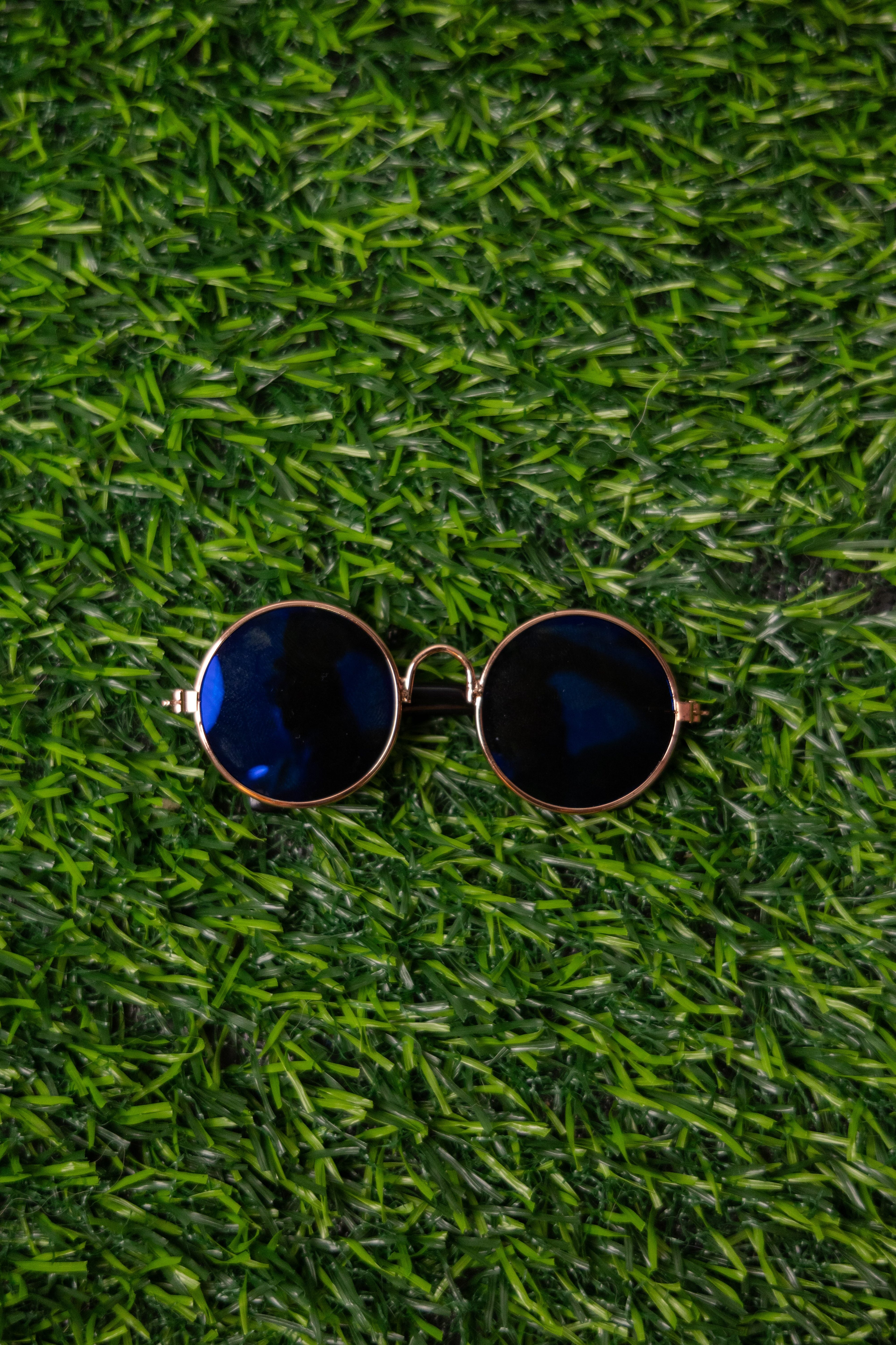 Lentes para Mascota