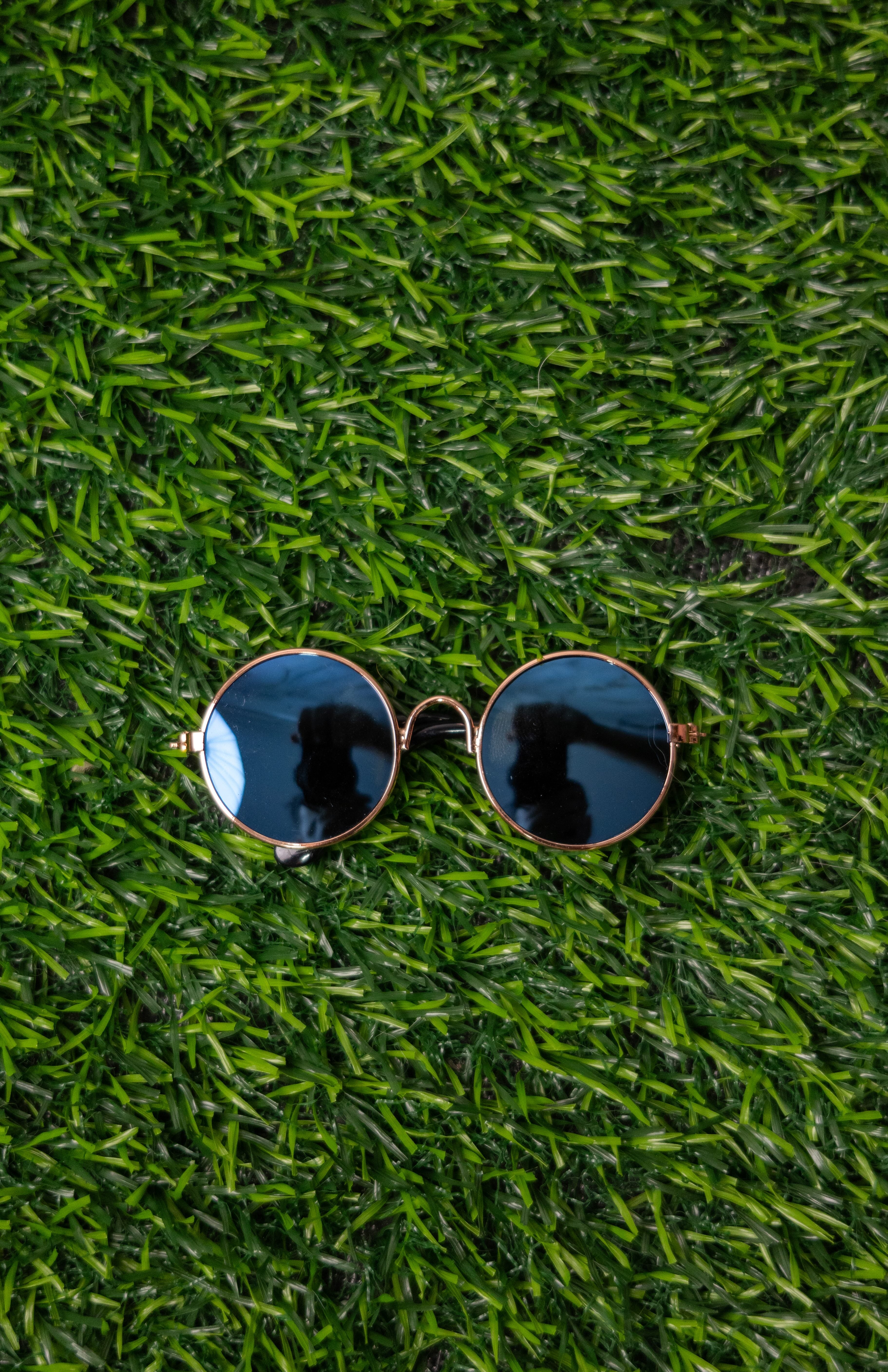Lentes para Mascota