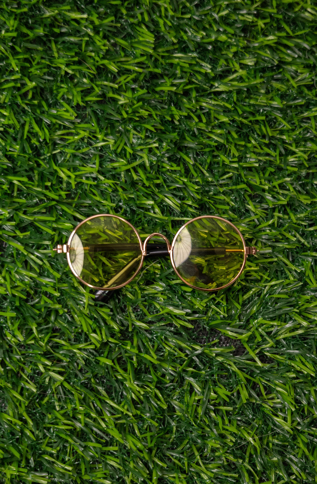 Lentes para Mascota