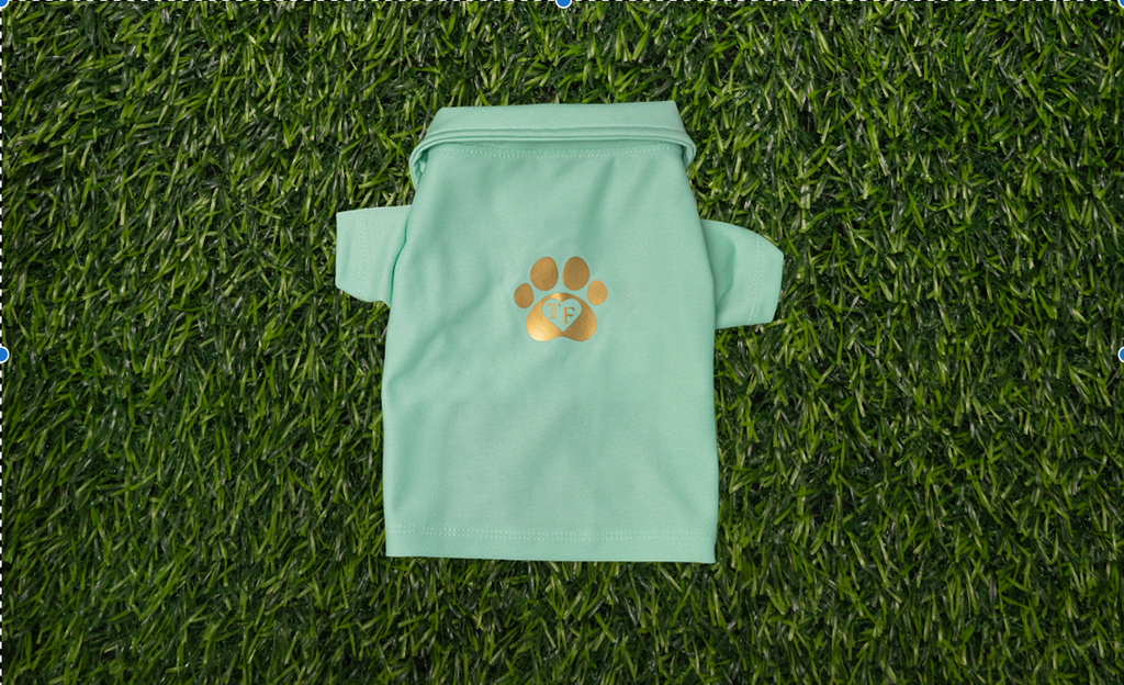 Camisa Polo Perro Hembra (Match)