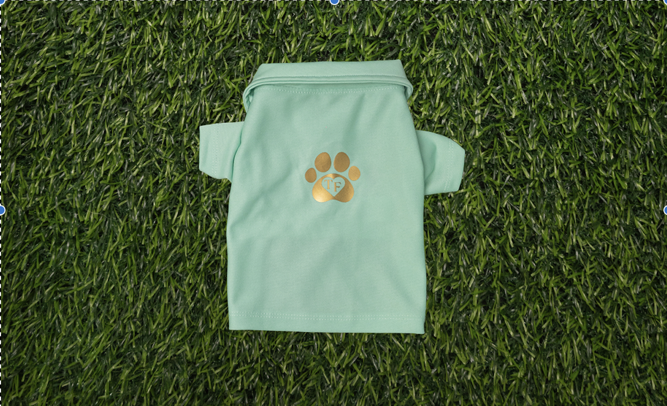Camisa Polo Perro Hembra (Match)