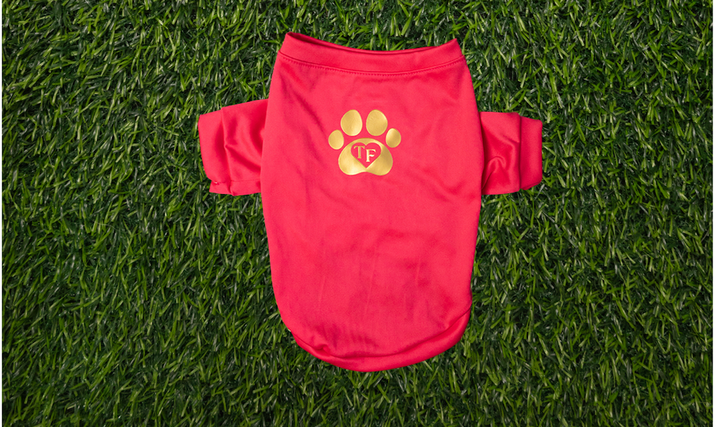 Camisa Deportiva Perro Hembra ( Match)